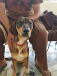 Francisco