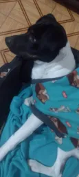 Oscar