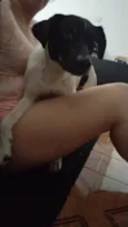 Oscar