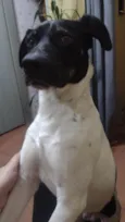 Oscar