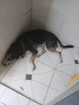 Netuno