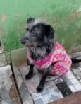 Neguinha