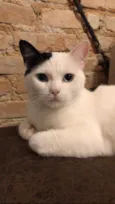 Oliver