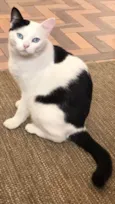Oliver