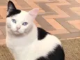 Oliver