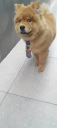 Bruce