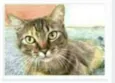 JULLY