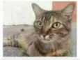 JULLY