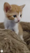 Lennon