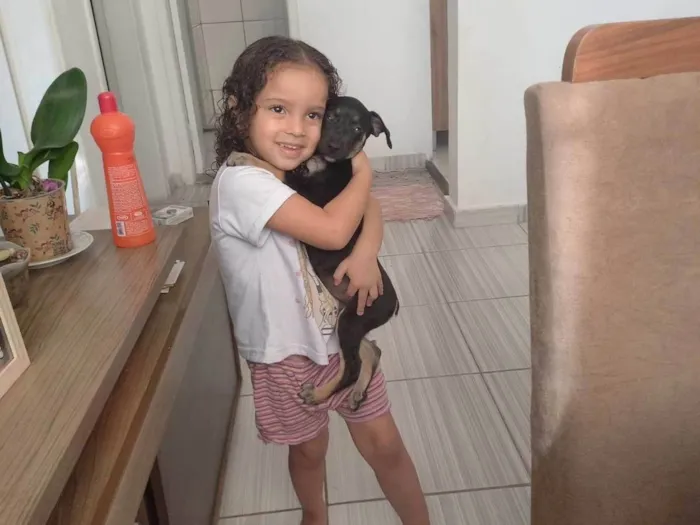 Cachorro ra a SRD-ViraLata idade 2 a 6 meses nome Mel