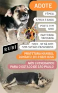 Rubi