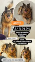Bandida