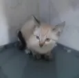 ..