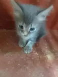 ........