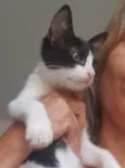 .........