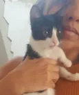.........