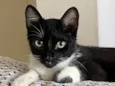 Mia