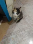 .......