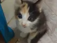 .......