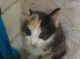 .......