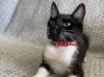 Mia