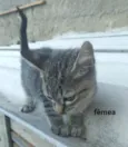 Preciosa