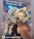Nina