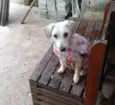 Valentina
