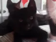 Nao tem