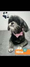 Nina
