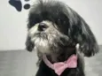 Nina