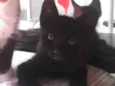 Nao tem