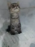 ........