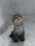 ........