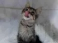 ........