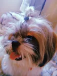 Frederico