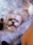 Frederico