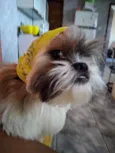 Frederico