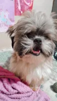 Frederico