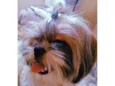 Frederico