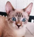 FABRÍCIO MIX
