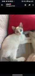 Jimmy