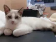 Jimmy