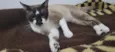 Tom