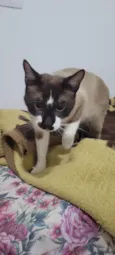 Tom