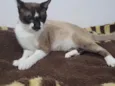 Tom