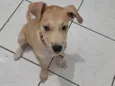 Lito