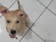 Lito