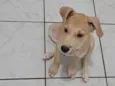 Lito