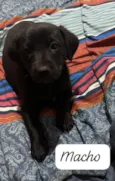 Théo bb50dias lindo